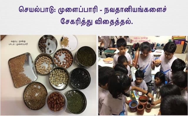 4th Grade Children of Babaji Vidyrshram School performing the mulaippari integrated activity as part of their Tamil language curriculum.